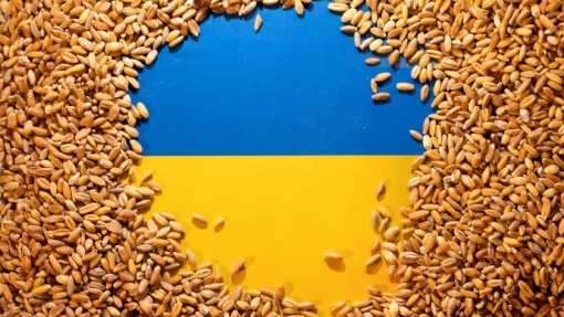 В ЕС произошел раскол из-за украинского зерна