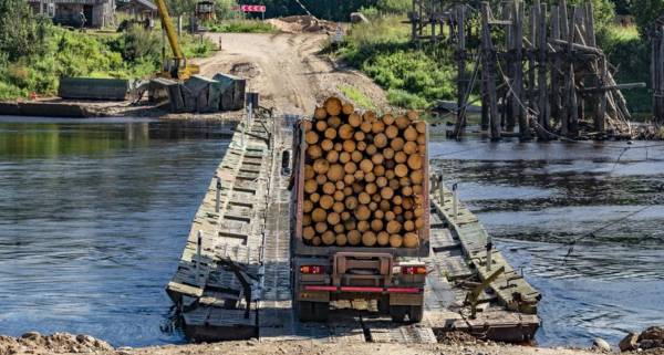Путин поручил запретить вывоз необработанных лесоматериалов
